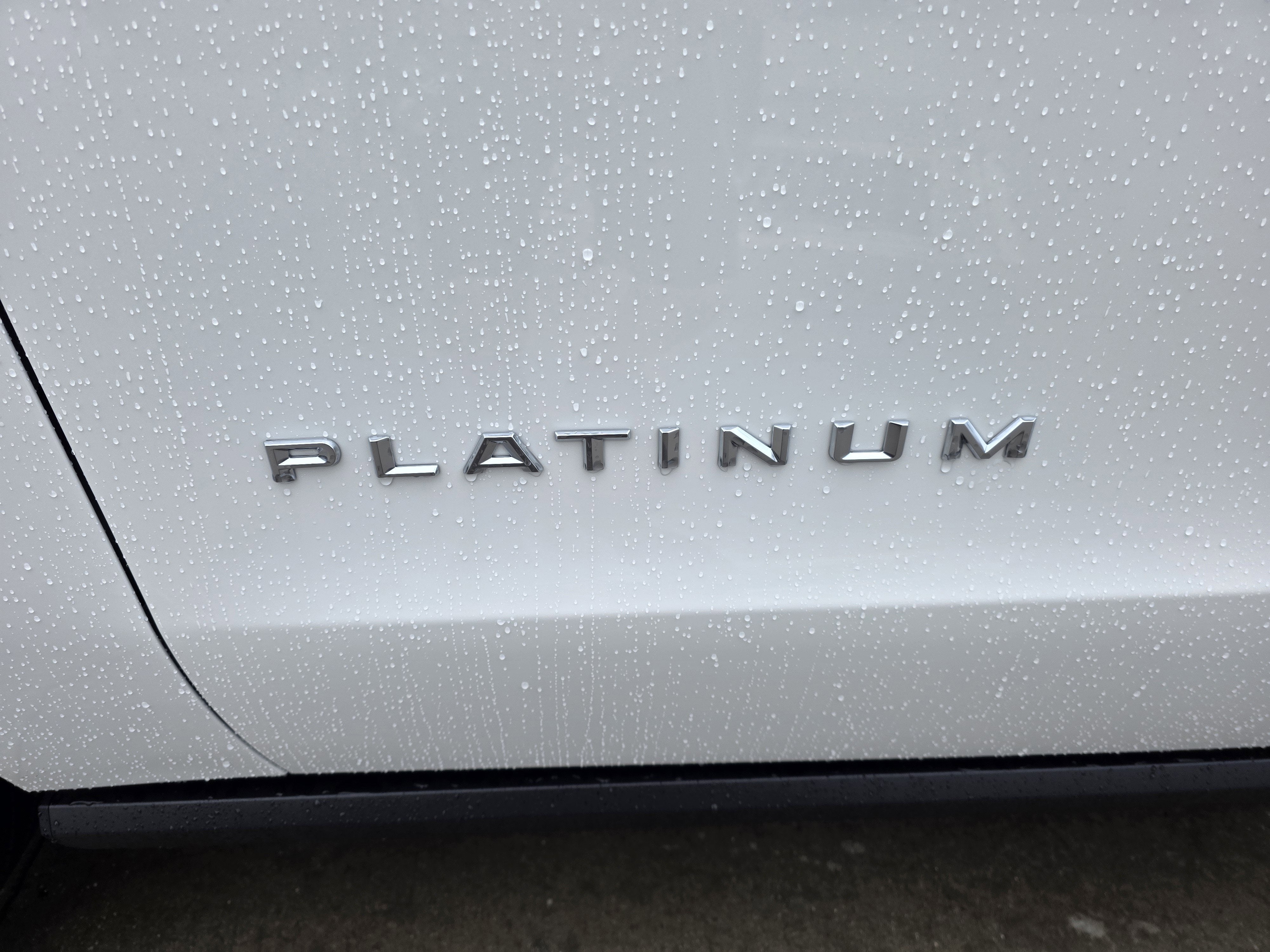 2026 Ford Expedition Platinum